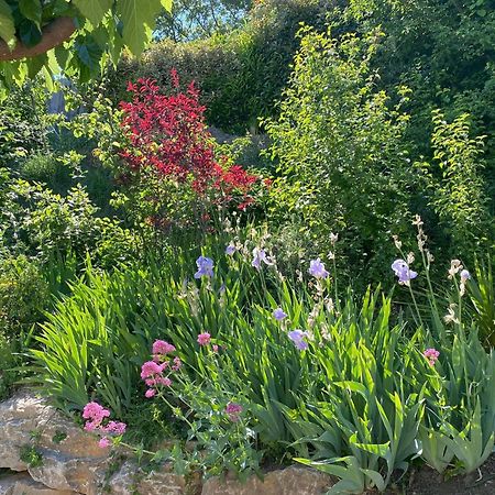 Le Jardin De Lau Villa Aubignan Eksteriør billede