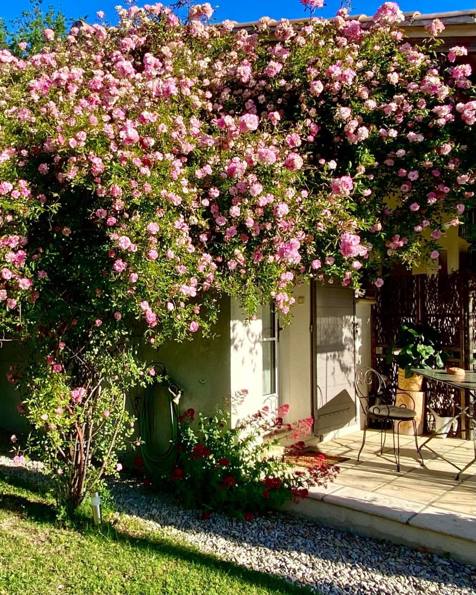 Le Jardin De Lau Villa Aubignan Eksteriør billede